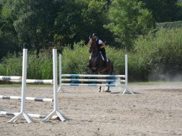 DSC_9350_web